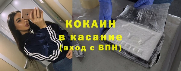сатива Гусев