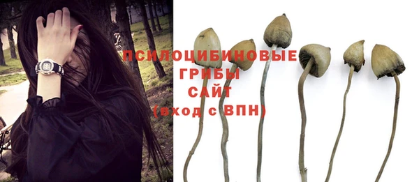 герыч Гусь-Хрустальный
