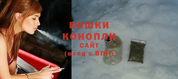 сатива Гусев