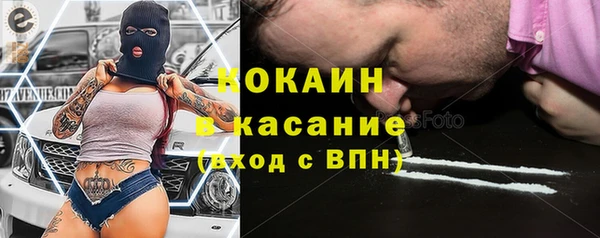 сатива Гусев
