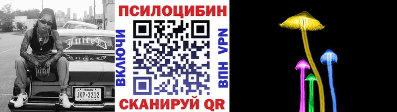 Галлюциногенные грибы Psilocybine cubensis Москва